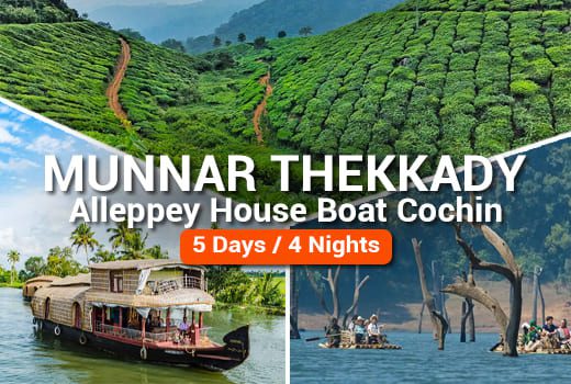 Munnar Thekkady Alleppey Cochin Tour