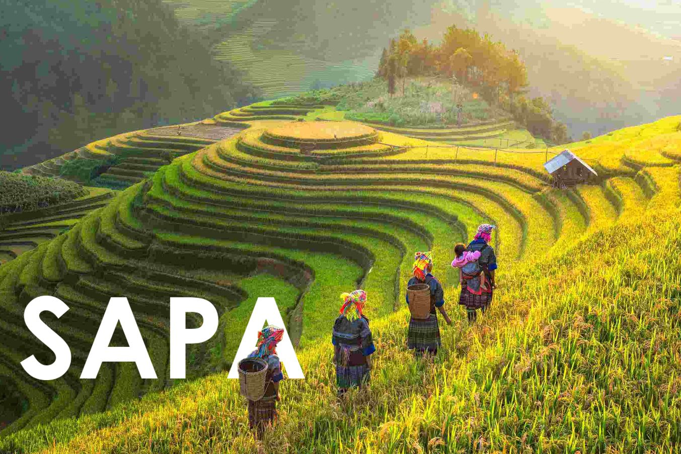 Sapa