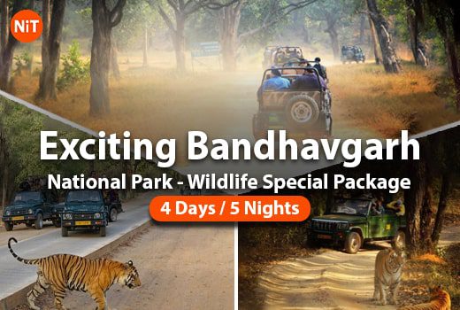 Exciting Bandhavgarh National Park - Wildlife Special Package