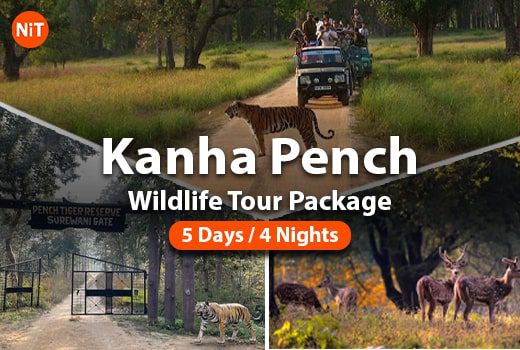 Kanha Pench Wildlife Tour Package