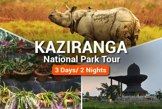 Kaziranga National Park Tour Package Kaziranga National Park Tour Package