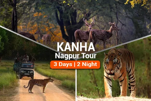 Kanha Nagpur Tour Package Kanha Nagpur Tour Package
