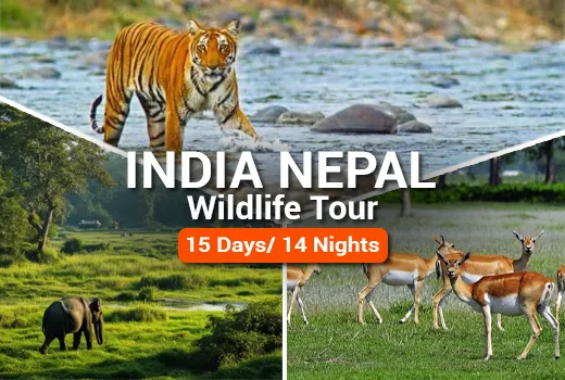 India Nepal Wildlife India Nepal Wildlife