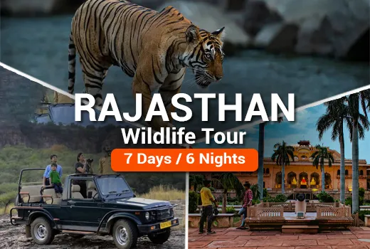Rajasthan Wildlife Tour Package Rajasthan Wildlife Tour Package